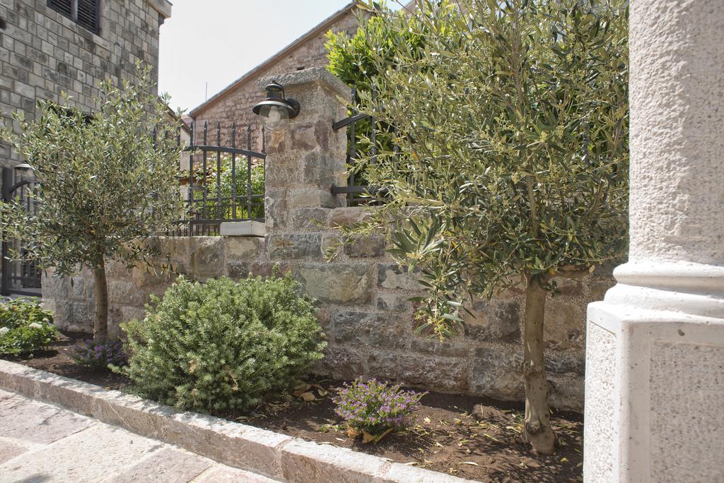 Piazza Apartments 2 Petrovac 部屋 写真